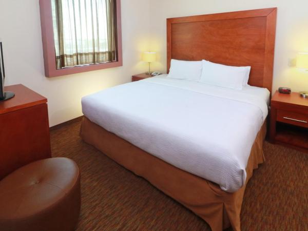 Staybridge Suites Queretaro, an IHG Hotel : photo 2 de la chambre suite 1 chambre lit king-size