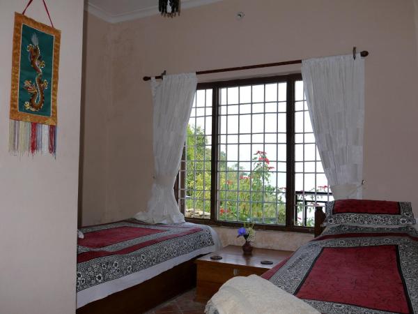 Peace Dragon Lodge : photo 3 de la chambre chambre lits jumeaux Économique