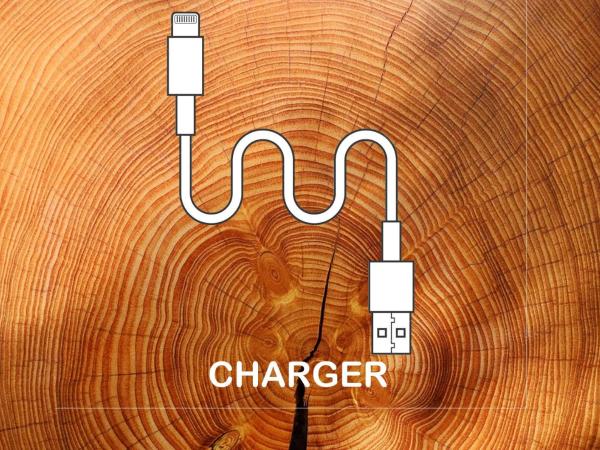 HOTEL VARKIN ANNEX : photo 2 de la chambre chambre lit king-size - vue sur jardin