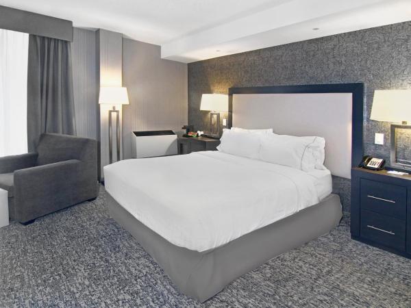 Holiday Inn Express and Suites Calgary, an IHG Hotel : photo 4 de la chambre chambre lit king-size standard