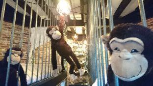 Yadoya Lodge : photo 10 de la chambre room #200200405