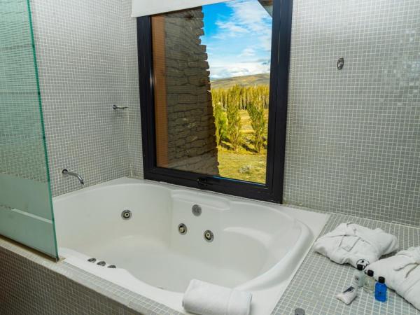 Design Suites Calafate : photo 4 de la chambre chambre standard