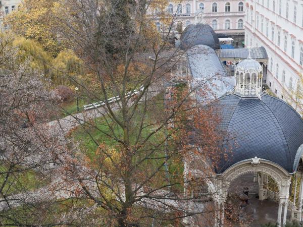 Hotel Sirius : photo 4 de la chambre special offer - double room with park view and balneo package