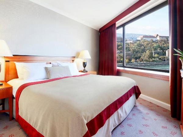 InterContinental Budapest, an IHG Hotel : photo 8 de la chambre suite junior - vue sur fleuve