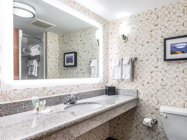 Holiday Inn - Indianapolis Downtown, an IHG Hotel : photo 4 de la chambre chambre standard