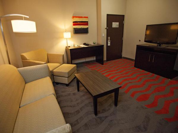 Holiday Inn Houston West - Westway Park, an IHG Hotel : photo 1 de la chambre suite 1 chambre lit king-size