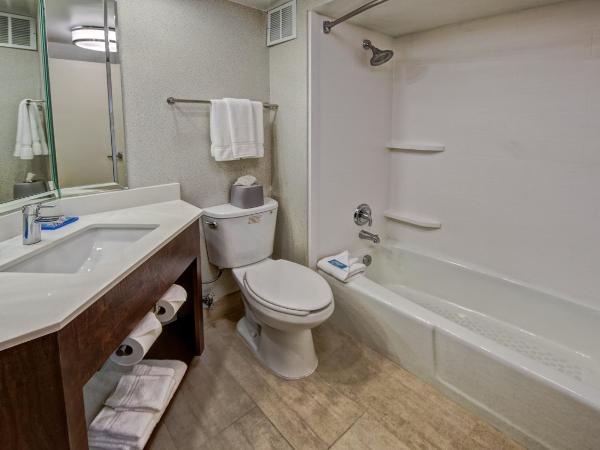 Holiday Inn Express Memphis Medical Center - Midtown, an IHG Hotel : photo 2 de la chambre chambre standard