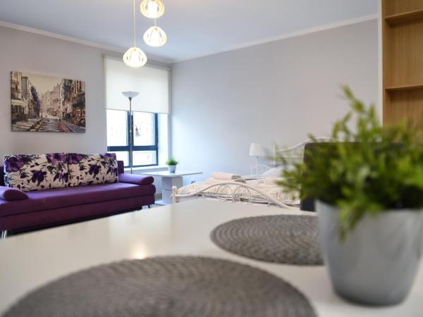 City Aparthotel : photo 7 de la chambre appartement 1 chambre (2 adultes)