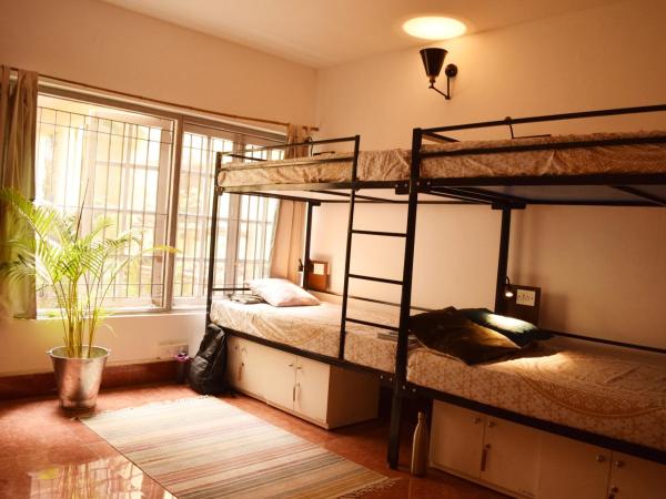 BE ANIMAL Hostel : photo 4 de la chambre lit superposé dans dortoir mixte