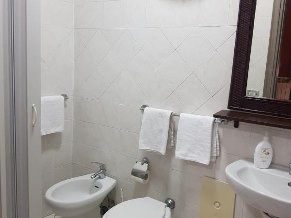 Hotel Ginevra : photo 6 de la chambre chambre simple avec salle de bains privative