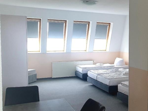 Hotel-Pension ODIN : photo 2 de la chambre appartement avec balcon