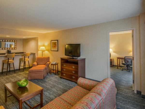 Holiday Inn Arlington at Ballston, an IHG Hotel : photo 2 de la chambre suite lit king-size
