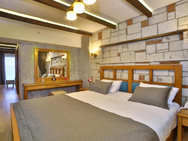 Yılsam Sultanahmet Hotel : photo 1 de la chambre suite deluxe