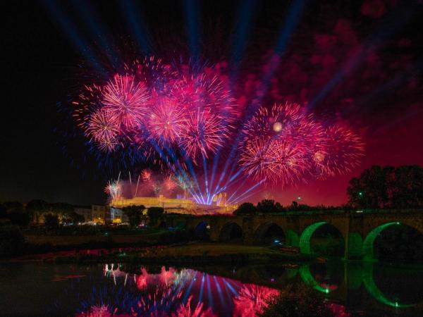 Hotel du Roi & Spa by SOWELL COLLECTION : photo 1 de la chambre suite junior