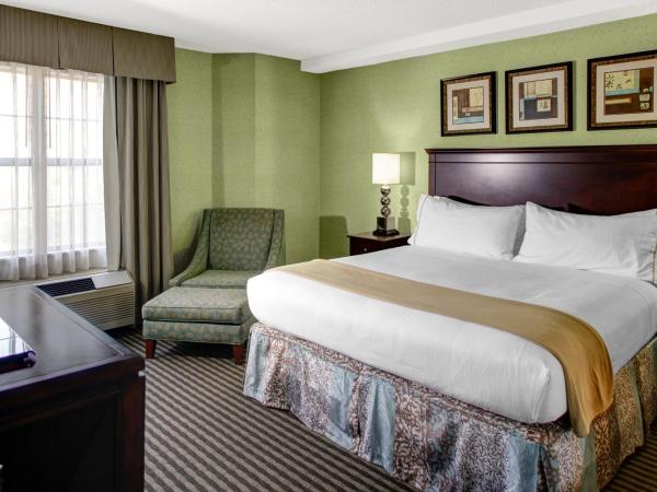 Holiday Inn Express Hotel & Suites Atlanta Buckhead, an IHG Hotel : photo 2 de la chambre suite lit king-size