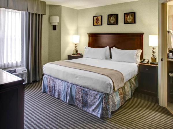 Holiday Inn Express Hotel & Suites Atlanta Buckhead, an IHG Hotel : photo 3 de la chambre suite lit king-size de luxe avec canapé-lit 