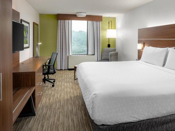 Holiday Inn Express Atlanta Airport-College Park, an IHG Hotel : photo 3 de la chambre chambre lit king-size