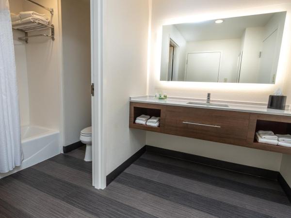 Holiday Inn Hotel & Suites Memphis-Wolfchase Galleria, an IHG Hotel : photo 3 de la chambre suite 1 chambre lit king-size