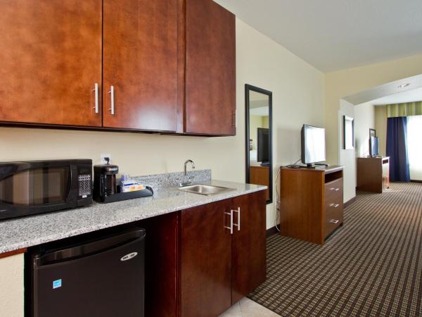 Holiday Inn Express and Suites Denver East Peoria Street, an IHG Hotel : photo 3 de la chambre suite lit king-size avec canapé-lit