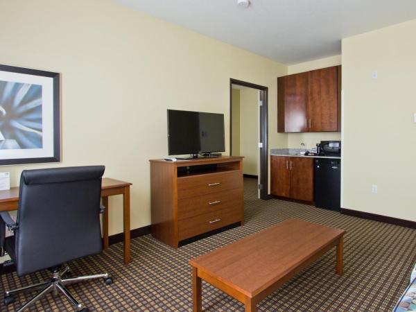 Holiday Inn Express and Suites Denver East Peoria Street, an IHG Hotel : photo 1 de la chambre suite 1 chambre