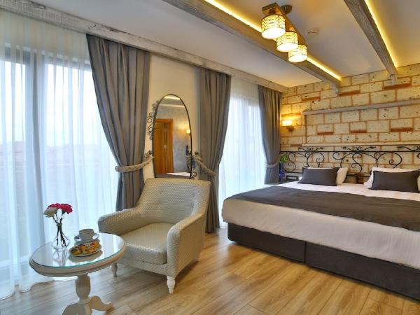 Yılsam Sultanahmet Hotel : photo 3 de la chambre chambre deluxe double ou lits jumeaux