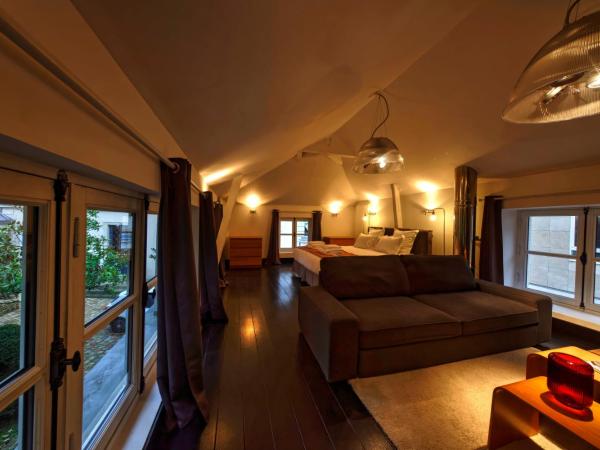 L'HOTEL PARTICULIER - LE MANS : photo 4 de la chambre hébergement l’annexe