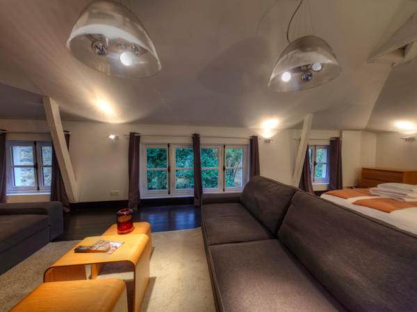 L'HOTEL PARTICULIER - LE MANS : photo 5 de la chambre hébergement l’annexe