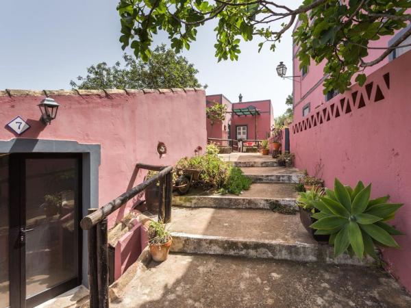 Casa Do Forno - Quinta Amoreira : photo 8 de la chambre maison de vacances