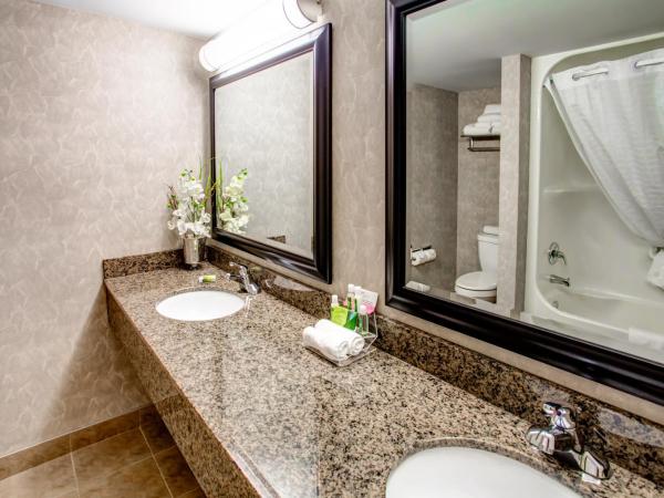 Royal Hotel West Edmonton, Trademark Collection by Wyndham : photo 2 de la chambre suite studio lit king-size - non-fumeurs