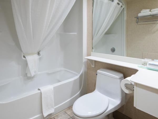 Royal Hotel West Edmonton, Trademark Collection by Wyndham : photo 2 de la chambre chambre lit king-size de luxe avec accès au club - non-fumeurs