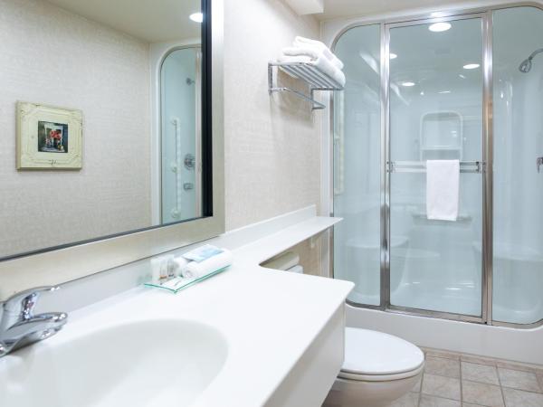 Royal Hotel West Edmonton, Trademark Collection by Wyndham : photo 5 de la chambre chambre lit king-size club supérieure - non-fumeurs