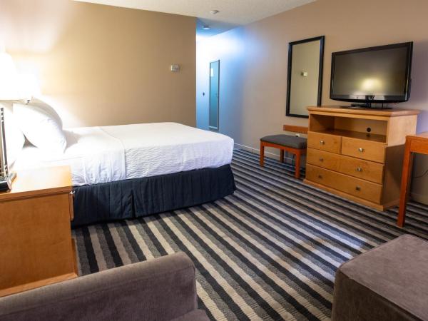 Royal Hotel West Edmonton, Trademark Collection by Wyndham : photo 5 de la chambre chambre lit queen-size - non-fumeurs