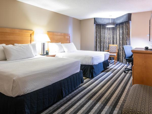 Royal Hotel West Edmonton, Trademark Collection by Wyndham : photo 3 de la chambre chambre avec 2 lits queen-size - animaux domestiques admis - non-fumeurs