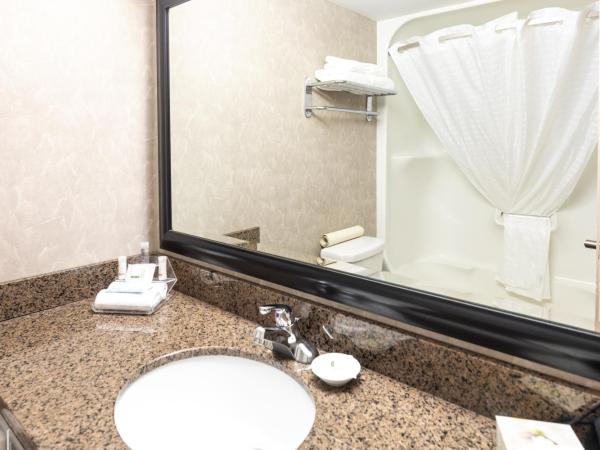 Royal Hotel West Edmonton, Trademark Collection by Wyndham : photo 1 de la chambre chambre avec 2 lits queen-size - animaux domestiques admis - non-fumeurs