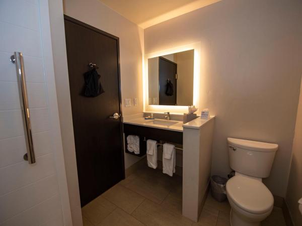 Holiday Inn Express & Suites - Colorado Springs AFA Northgate, an IHG Hotel : photo 4 de la chambre suite lit queen-size