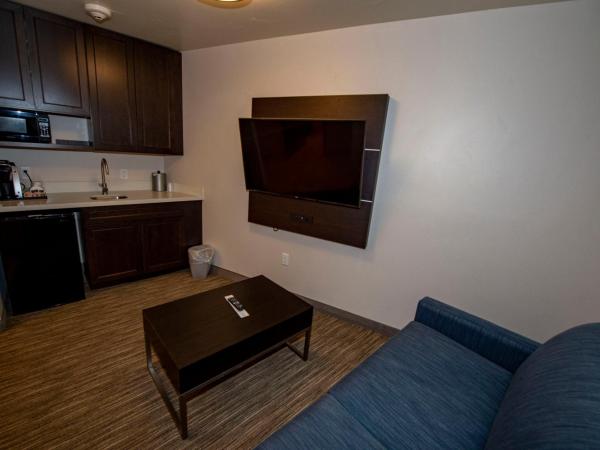 Holiday Inn Express & Suites - Colorado Springs AFA Northgate, an IHG Hotel : photo 1 de la chambre suite 2 chambres