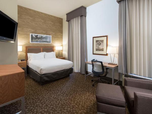 Holiday Inn Savannah Historic District, an IHG Hotel : photo 2 de la chambre chambre standard lit queen-size