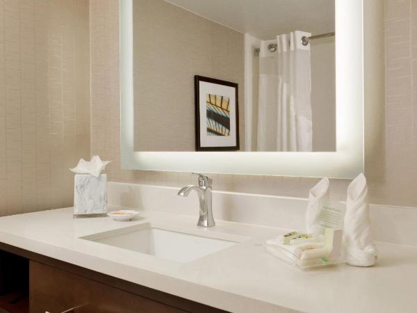 Holiday Inn San Antonio-Riverwalk, an IHG Hotel : photo 5 de la chambre chambre lit king-size avec vue sur la rivière