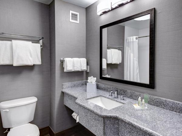 Holiday Inn Savannah Historic District, an IHG Hotel : photo 1 de la chambre chambre lit king-size standard