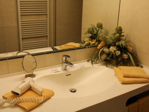 Airporthotel Salzburg - Hotel am Salzburg Airport : photo 3 de la chambre chambre simple