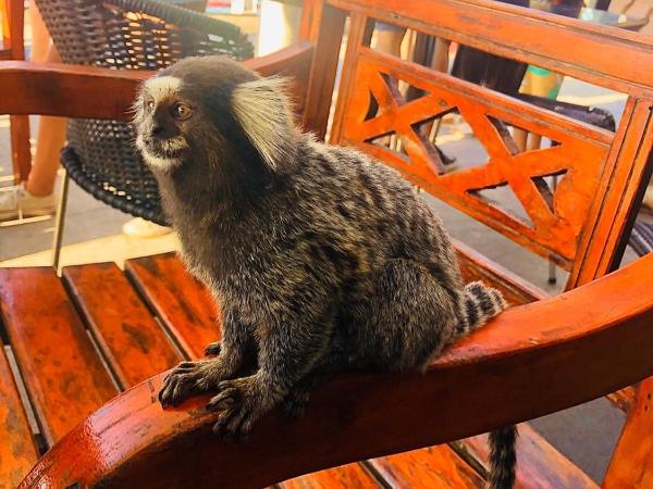 Lapa Casa Hostel : photo 4 de la chambre bed in mixed dormitory