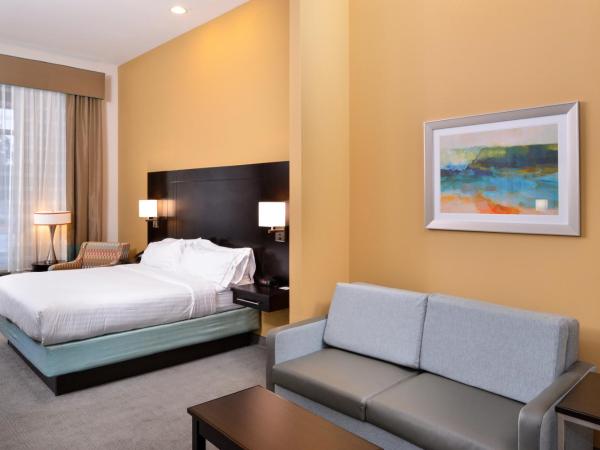 Holiday Inn Express & Suites Austin South, an IHG Hotel : photo 3 de la chambre chambre lit king-size avec canapé-lit - non-fumeurs