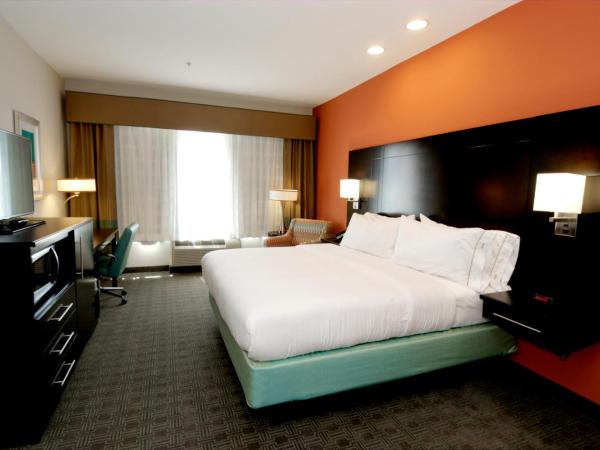Holiday Inn Express & Suites Austin South, an IHG Hotel : photo 2 de la chambre chambre lit king-size standard