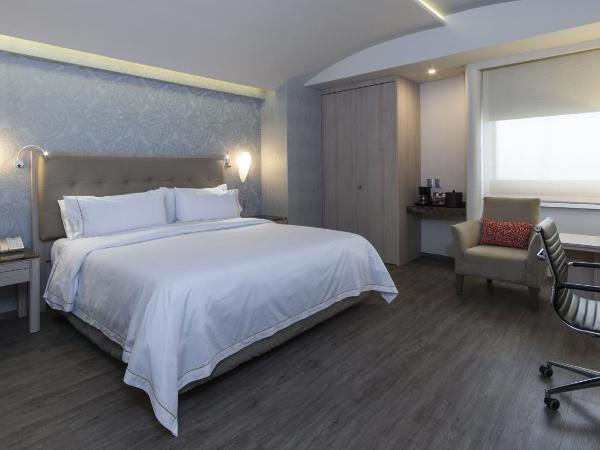 Holiday Inn Express Mexico- Toreo, an IHG Hotel : photo 4 de la chambre chambre lit king-size standard