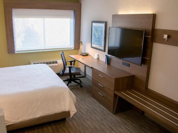 Holiday Inn Express & Suites Colorado Springs North, an IHG Hotel : photo 2 de la chambre chambre lit king-size exécutive avec canapé-lit