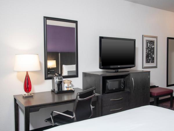 Holiday Inn Express & Suites Columbus - Polaris Parkway / COLUMBUS, an IHG Hotel : photo 2 de la chambre chambre standard