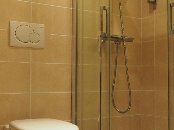 Hôtel du Dauphin : photo 4 de la chambre chambre simple