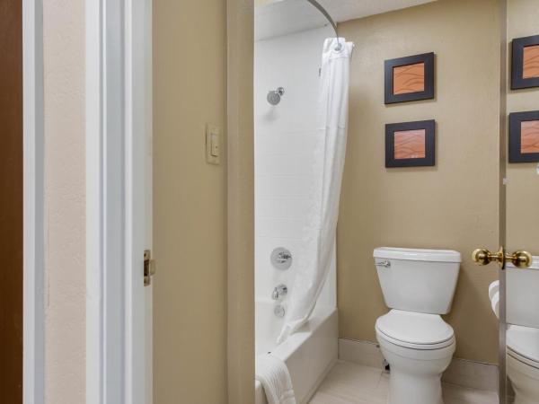 Comfort Inn South : photo 2 de la chambre suite lit king-size – non-fumeurs