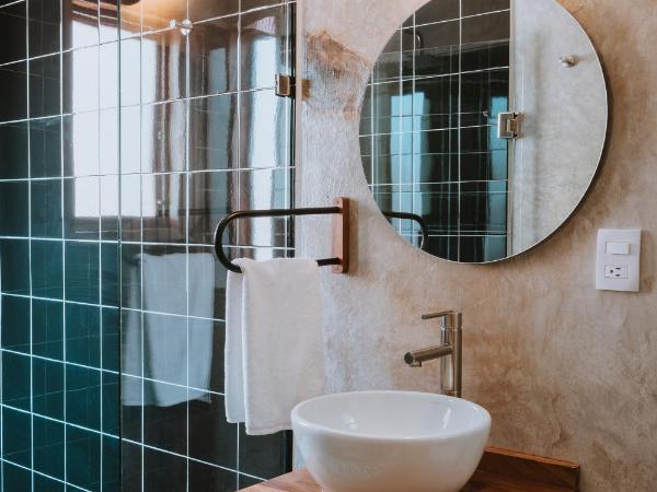 Hotel Boutique Casa de Arte Oaxaca, Art Gallery & Pool : photo 5 de la chambre chambre lits jumeaux supérieure