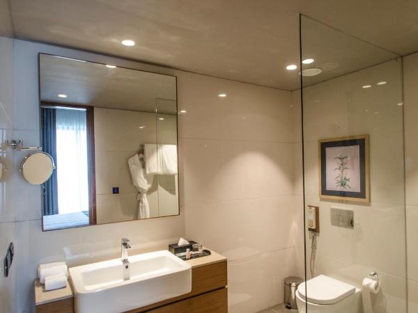 Altair - A Boutique Hotel : photo 4 de la chambre business room - lake view